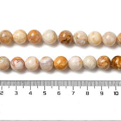 Natural Crazy Lace Agate Beads Strands G-H298-A12-04-1