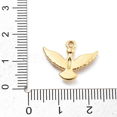 304 Stainless Steel Pendants STAS-R155-043G-01-1