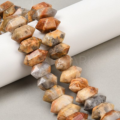 Natural Crazy Agate Double Terminated Point Beads Strands G-T142-90-1