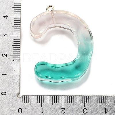 Resin Pendant FIND-Q107-01C-01-1