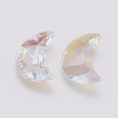 K9 Glass Rhinestone Pendants X-GLAA-K034-G03-1
