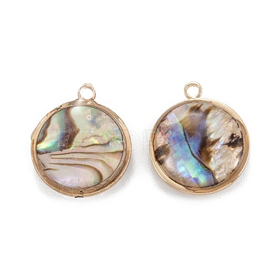 Natural Paua Shell Pendants KK-K252-06G-02-1