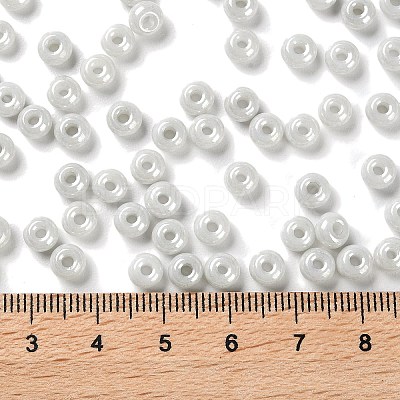3/0 Glass Seed Beads X1-SEED-L011-03A-06-1