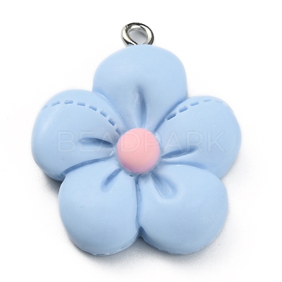 Opaque Resin Pendants FIND-WH0045-66D-1