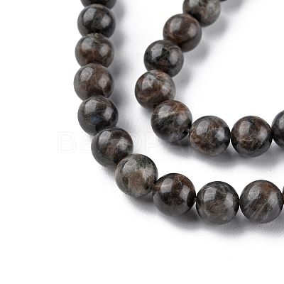 Natural Labradorite Beads Strands G-G0003-C03-1