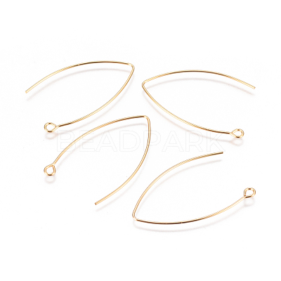 304 Stainless Steel Earring Hooks X-STAS-F227-26B-G-1