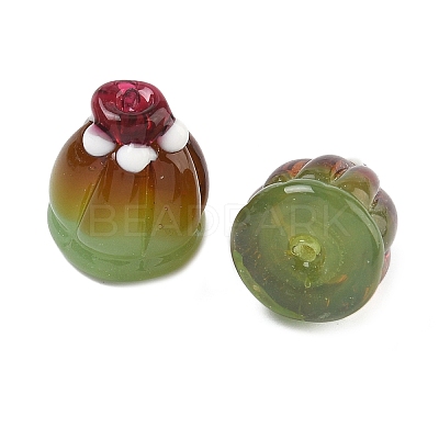 Handmade Lampwork Beads LAMP-Z022-01A-1