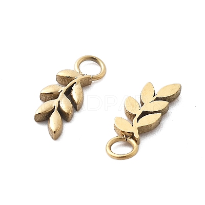 304 Stainless Steel Charms STAS-M111-38G-1
