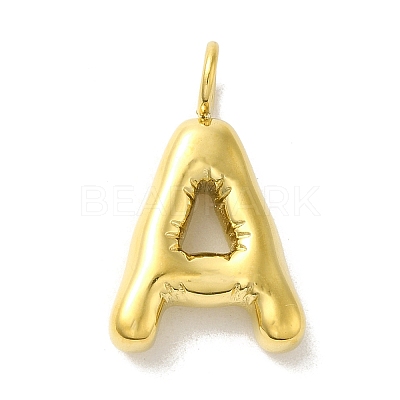 304 Stainless Steel Pendants STAS-K263-47G-1
