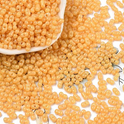 Baking Paint Glass Seed Beads SEED-L011-09A-04-1