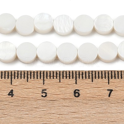 Natural Freshwater Shell Beads Strands SHEL-K010-03-1