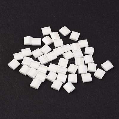MIYUKI TILA Beads SEED-MY05-TL402FR-1