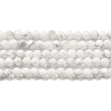 Natural Howlite Beads Strands X-G-E608-A01-B-1
