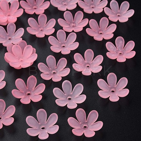 Transparent Acrylic Beads MACR-S373-107-D05-1