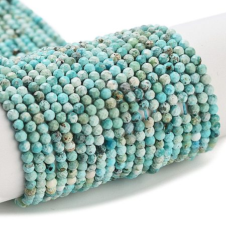 Natural HuBei Turquoise Beads Strands G-G792-38-01-1