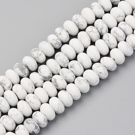 Natural Howlite Beads Strands G-S367-002B-1