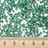 MIYUKI Round Rocailles Beads X-SEED-G007-RR1016-4