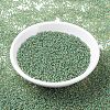 MIYUKI Round Rocailles Beads SEED-G007-RR0374-2