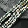 Natural Tree Agate Beads Strands G-K194-6mm-02-1
