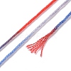 10 Skeins 6-Ply Polyester Embroidery Floss OCOR-K006-A13-3
