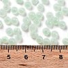 Glass Seed Beads SEED-M011-02A-14-4