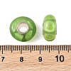 Lampwork & Brass Core European Beads LAMP-P019-01P-20-3