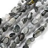 Natural Eagle Eye Stone Beads Strands G-P497-01C-52-1