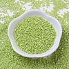 MIYUKI Delica Beads X-SEED-J020-DB0169-2