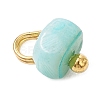 Dyed Natural Freshwater Shell Nuggets Charms PALLOY-JF05032-01-4