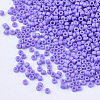 Baking Paint Cylinder Seed Beads SEED-Q036-02A-D09-3