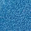 MIYUKI Round Rocailles Beads SEED-JP0009-RR0573-3