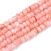 Natural Freshwater Shell Dyed Beads Strands SHEL-T020-29A-05-1