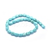 Dyed Natural Turquoise Beads Strands G-G768-01-1