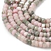 Natural Rhodonite Beads Strands G-A299-A24-01-4