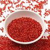Glass Seed Beads SEED-S042-04B-10-2