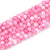Dyed Natural Trochid Shell/Trochus Shell Beads Strands SSHEL-T017-13E-1