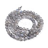 Natural Rainbow Moonstone Beads Strands G-R475-025C-2