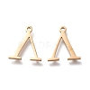 304 Stainless Steel Charms STAS-K215-24G-2