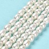 Natural Cultured Freshwater Pearl Beads Strands PEAR-E016-129-2