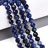 Natural Sodalite Beads Strands G-S345-6mm-26-2