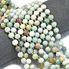 Natural Flower Amazonite Beads Strands G-K389-E72-01-2