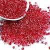 6/0 Spray Paint Fringe Glass Seed Beads SEED-H003-11F-1