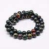 Natural Indian Bloodstone Beads Strands G-P257-07-10mm-2