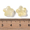Baking Paint Glass Beads LS-GLAA-S202-10C-3