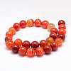 Natural Striped Agate/Banded Agate Bead Strands G-K155-A-12mm-05-2