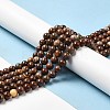 Natural Gemstone Beads Strands G-A215-01B-4