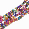 Freshwater Shell Beads Strands SHEL-S270-01-1
