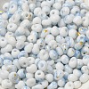 Baking Paint Glass Seed Beads X1-SEED-F006-01A-02-3