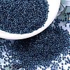 MIYUKI Round Rocailles Beads X-SEED-G007-RR0347-1