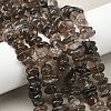 Natural Smoky Quartz Beads Strands G-P622-A01-02-1
